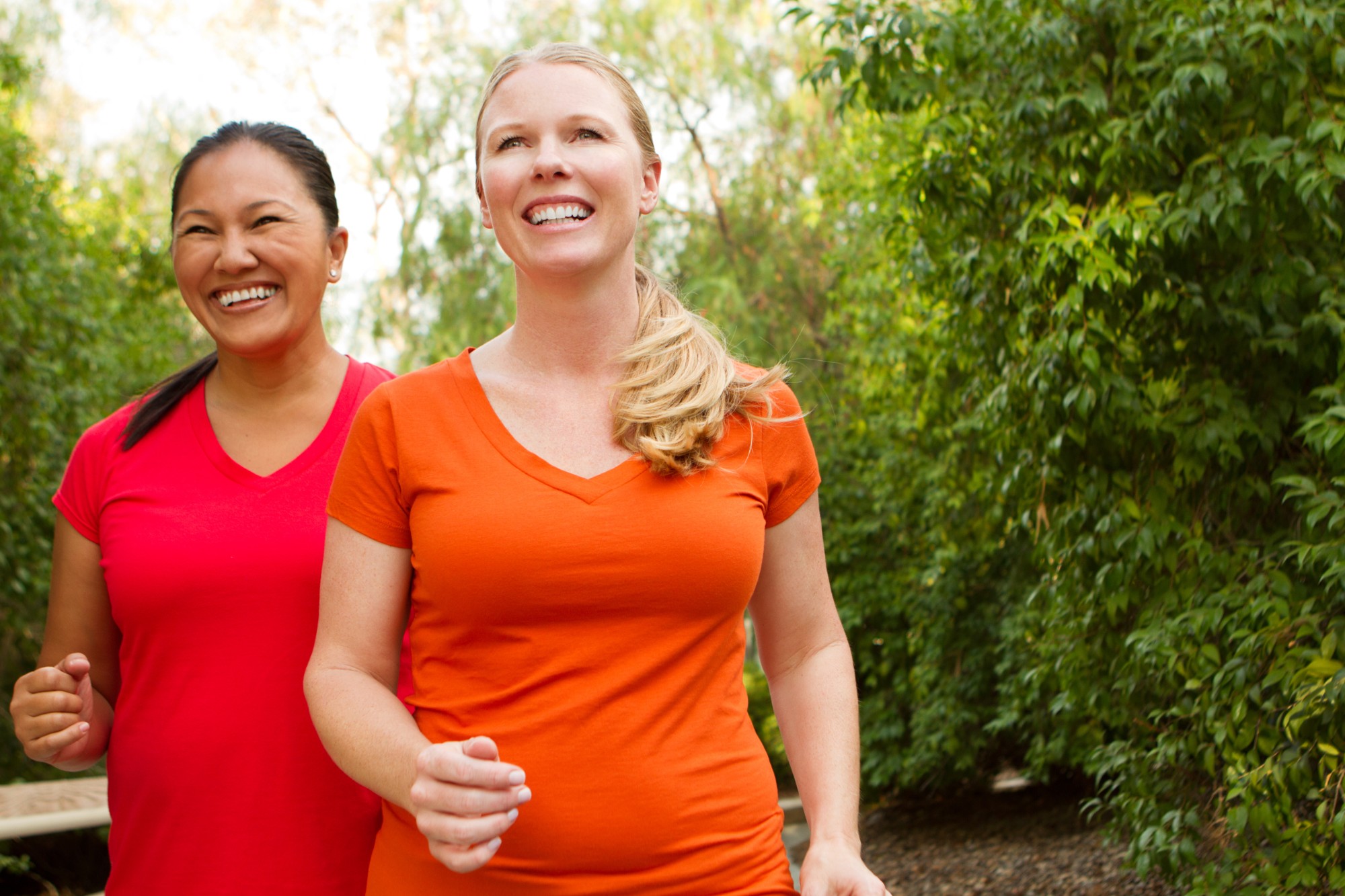 health insurance rewards