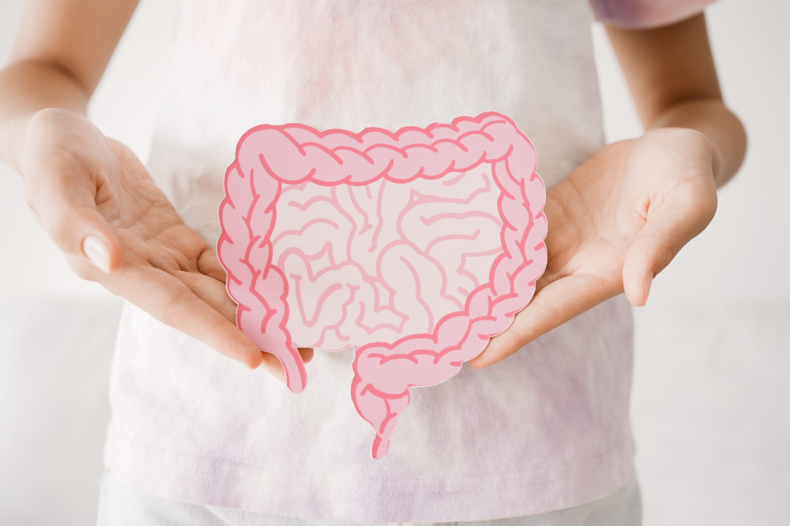 Preteen,Girl,Hands,Holding,Intestine,Shape,,Healthy,Bowel,Digestion,,Leaky